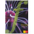 Fizica. Manual pentru Clasa a 8-a