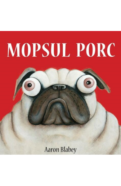 Mopsul Porc Mopsul Porc