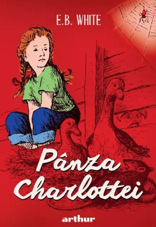Panza Charlottei (format mare)