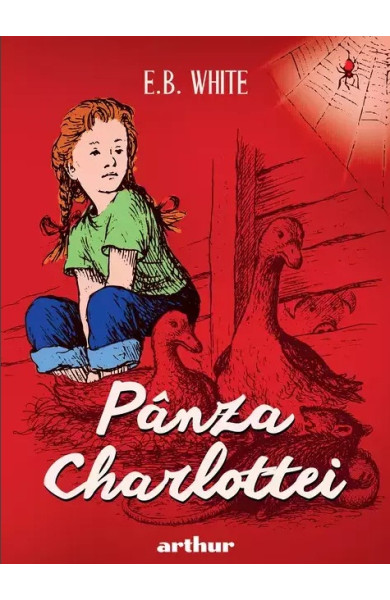 Panza Charlottei (format mare) Panza Charlottei (format mare)