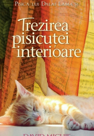 Pisica lui Dalai Lama și trezirea pisicuței interioare Pisica lui Dalai Lama și trezirea pisicuței interioare