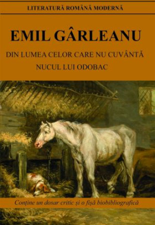 Din lumea celor care nu cuvanta