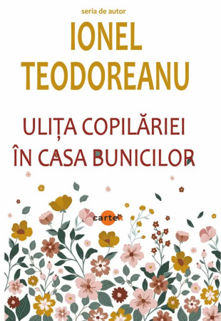 Ulita copilariei. In casa bunicilor