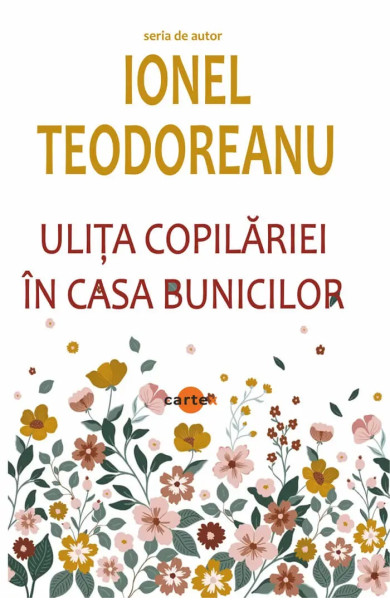 Ulita copilariei. In casa bunicilor Ulita copilariei. In casa bunicilor