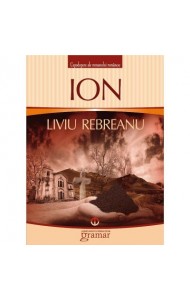 Ion