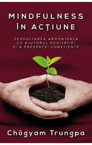 Mindfulness in actiune