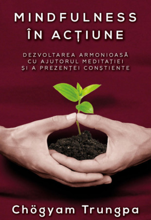 Mindfulness in actiune