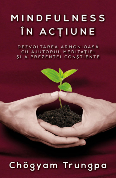 Mindfulness in actiune Mindfulness in actiune