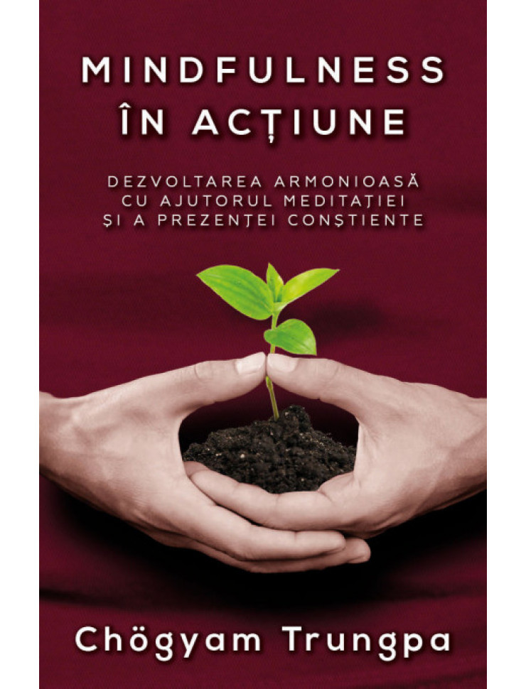 Mindfulness in actiune