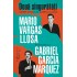 Doua singuratati. Despre roman in America Latina