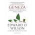 Geneza: Originea profunda a societatii