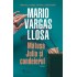 Matusa Julia si condeierul