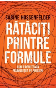 Rataciti printre formule - Cum ii deruteaza frumusetea pe fizicieni Rataciti printre formule - Cum ii deruteaza frumusetea pe fizicieni