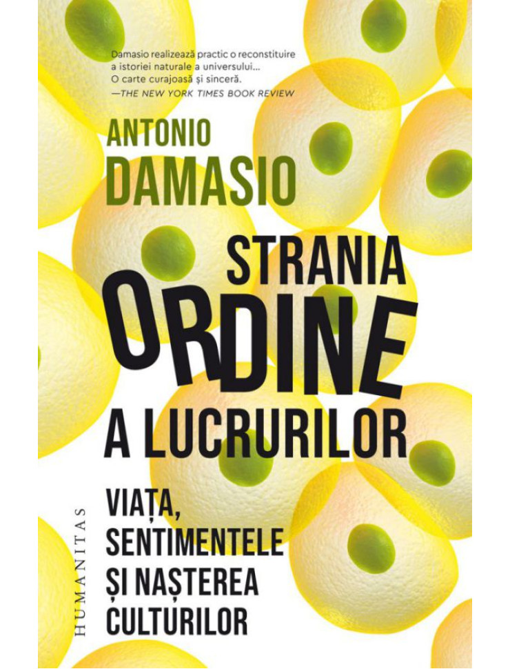 Strania ordine a lucrurilor