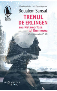 Trenul de Erlingen Trenul de Erlingen