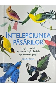 Intelepciunea pasarilor Intelepciunea pasarilor