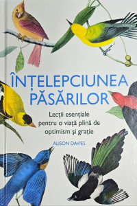 Intelepciunea pasarilor