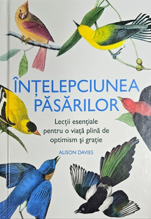 Intelepciunea pasarilor