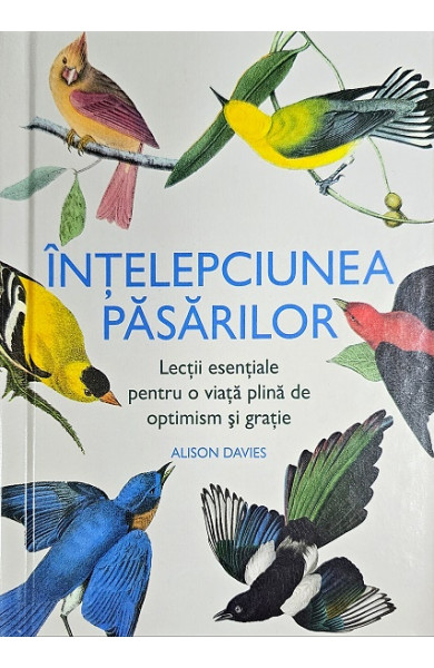 Intelepciunea pasarilor Intelepciunea pasarilor