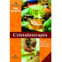 Cristaloterapia