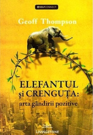 Elefantul si crenguta: Arta gandirii pozitive