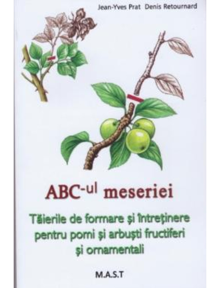 ABC-ul meseriei