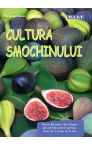 Cultura smochinului
