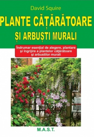 Plante cataratoare si arbusti murali Plante cataratoare si arbusti murali