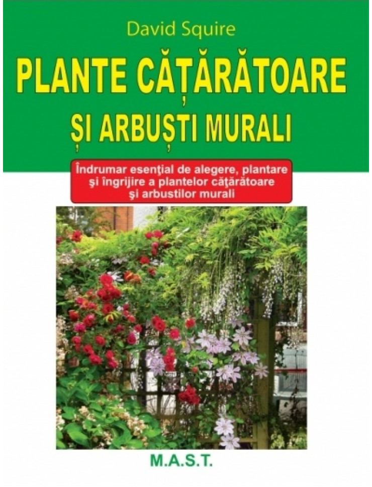 Plante cataratoare si arbusti murali