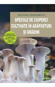Speciile de ciuperci cultivate in adaposturi si gradini Speciile de ciuperci cultivate in adaposturi si gradini