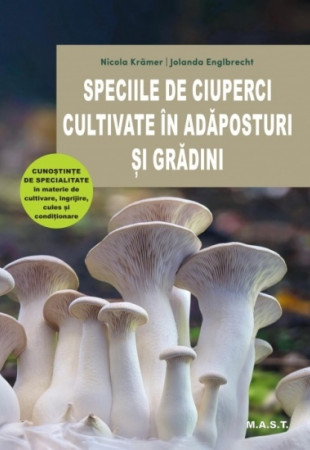 Speciile de ciuperci cultivate in adaposturi si gradini