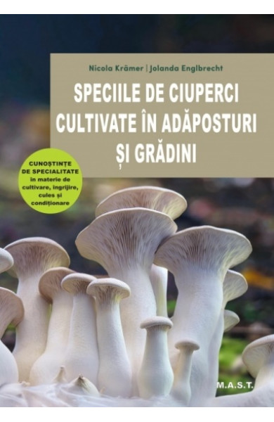Speciile de ciuperci cultivate in adaposturi si gradini Speciile de ciuperci cultivate in adaposturi si gradini