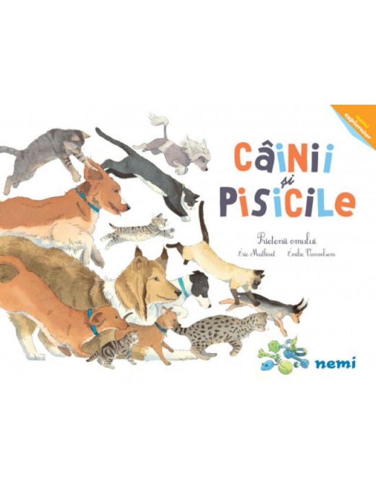 Cainii si pisicile - Prietenii omului