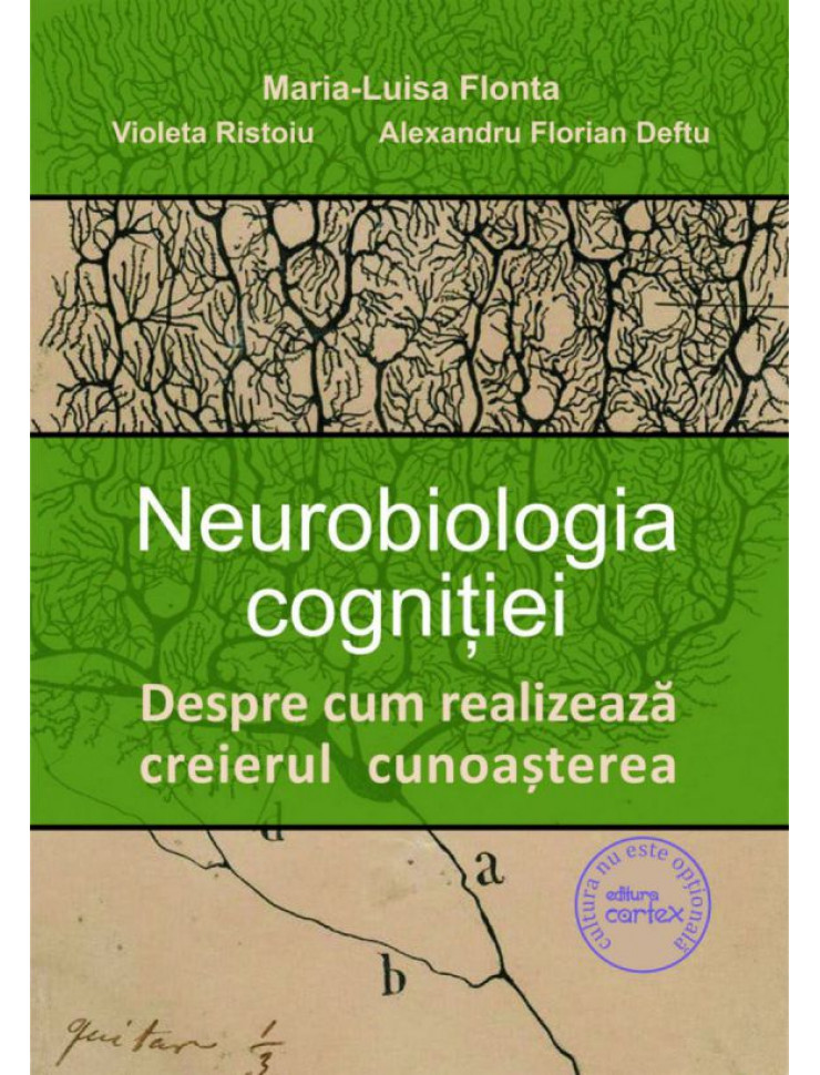 Neurobiologia cognitiei