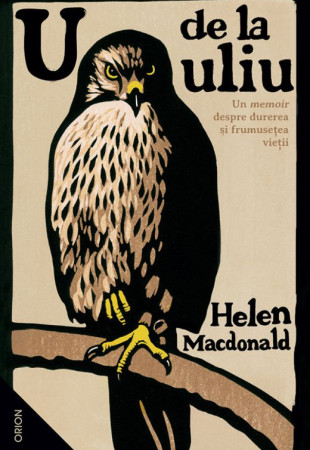 U de la Uliu U de la Uliu