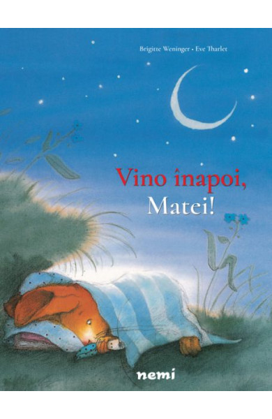 Vino inapoi, Matei! Vino inapoi, Matei!