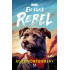 Eu sunt Rebel