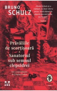 Prăvăliile de scorțișoară. Sanatoriul sub semnul clepsidrei