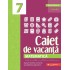 Matematică. Caiet de vacanță - Clasa a 7-a