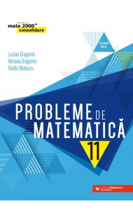 Probleme de matematică pentru clasa a 11-a