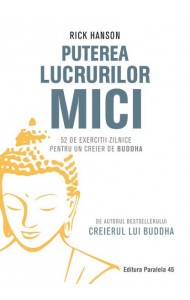 Puterea lucrurilor mici - 52 de exercitii zilnice pentru un creier de Buddha