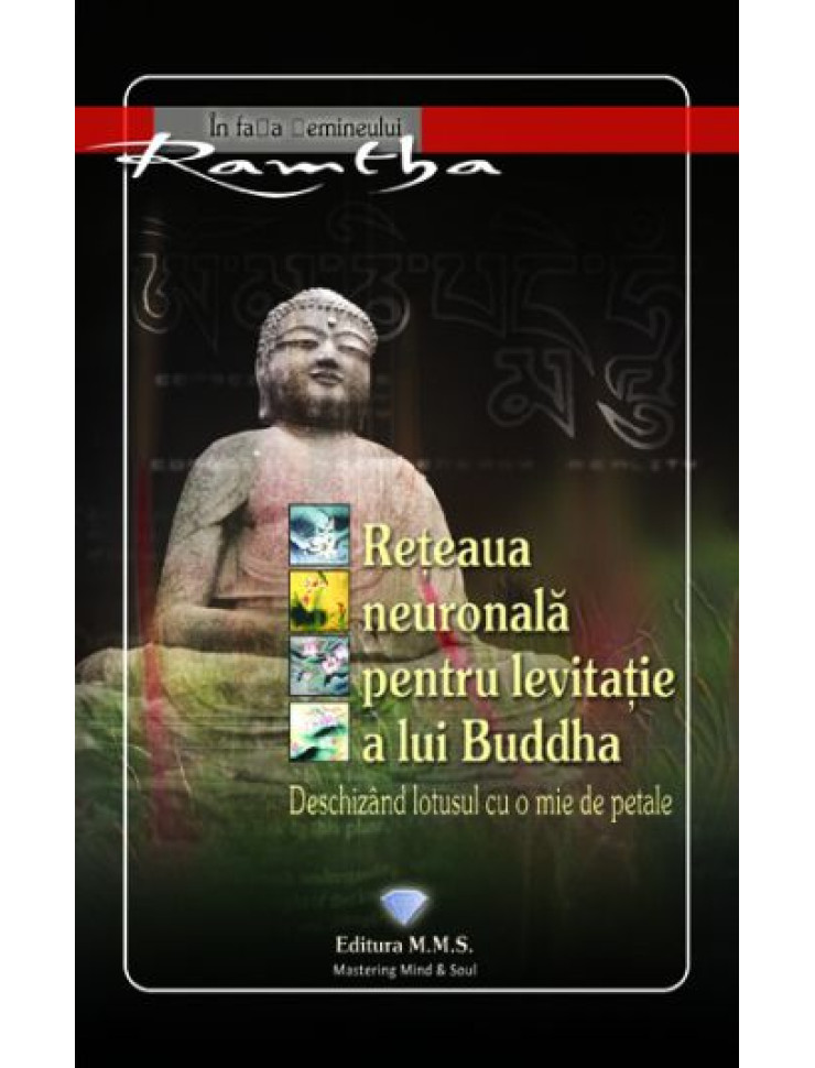 Reteaua neuronala pentru levitatie a lui Buddha