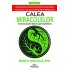 Calea Miracolelor