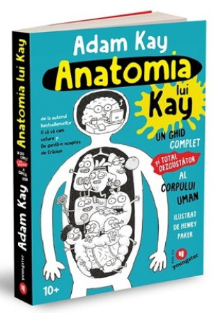 Anatomia lui Kay