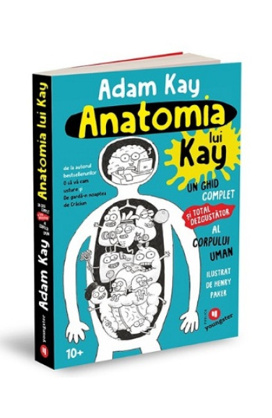 Anatomia lui Kay Anatomia lui Kay