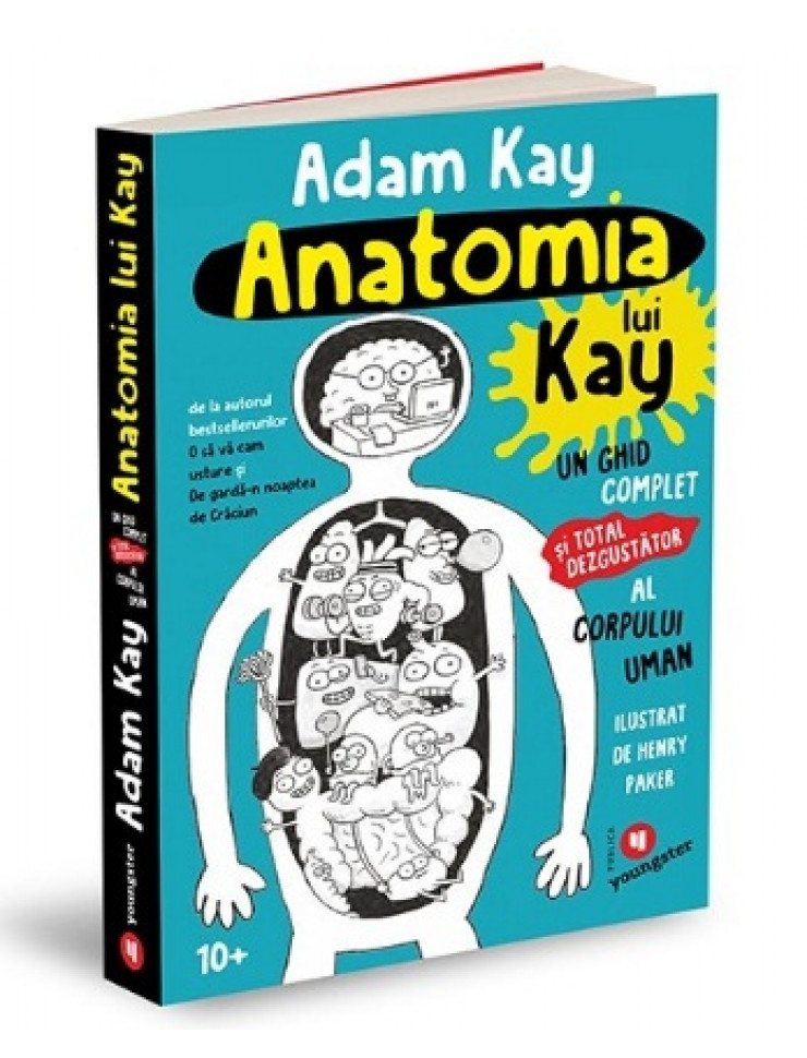 Anatomia lui Kay