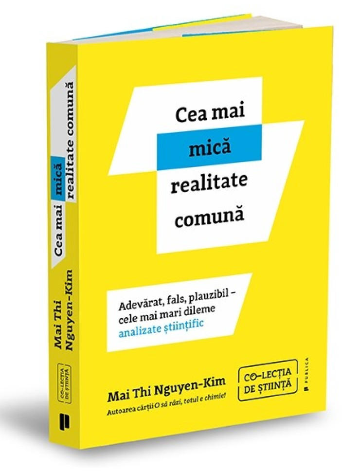 Cea mai mică realitate comună