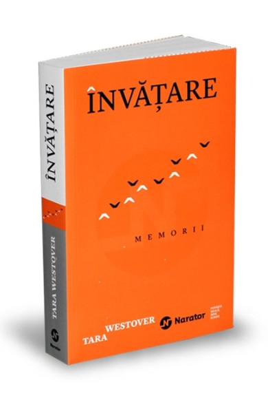 Învățare. Memorii