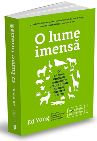 O lume imensă O lume imensă