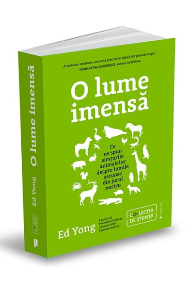O lume imensă O lume imensă